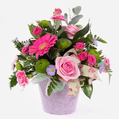 Cotton Candy 
 - This little pot of sweetness is a joy to behold. Filled with smiling flowers and a complement of variegated foliage.