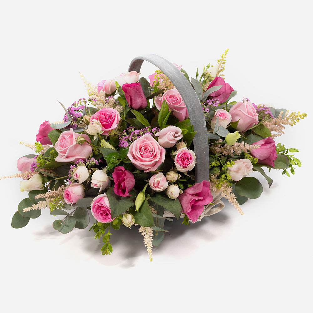 Pink Sensation 
